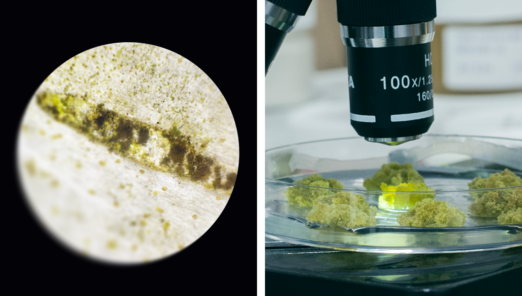 Horeca - Madara Cosmetics